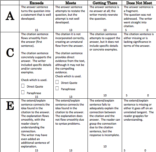 ACE Rubric.png